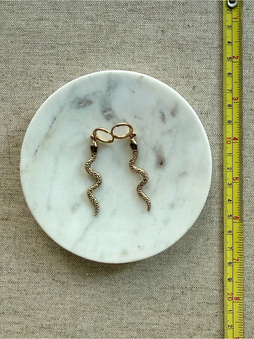 Gold Snake Dangle Hoop Earrings - Women Jewelry